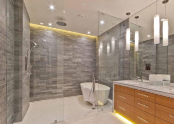 Reasons for Frameless Shower Doors