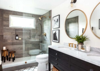 Best Toilet Buying Guide